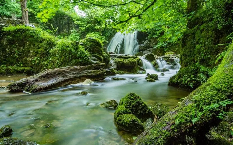 高标准环保